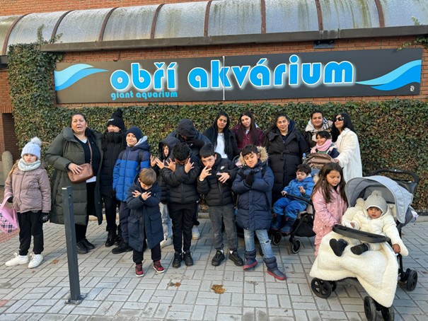 Příprava na střední a vysoké školy – projekt Romská Vize.