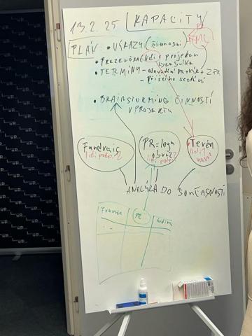 Plánování strategií pro rozvoj